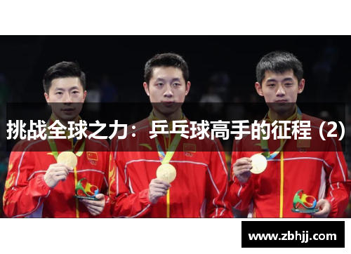 挑战全球之力：乒乓球高手的征程 (2)