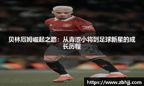 欧亿oety平台